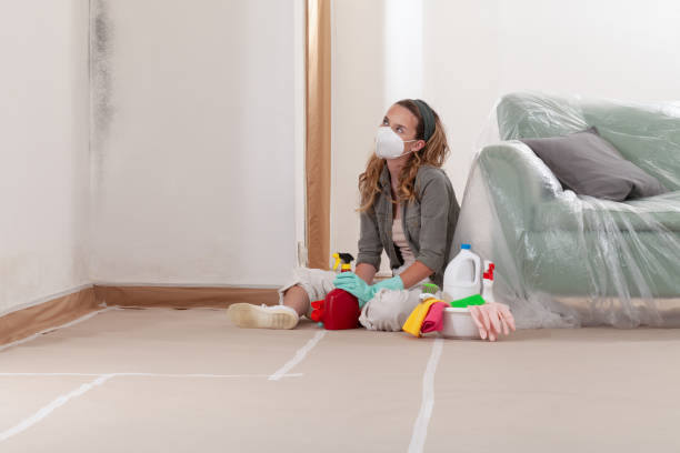 Reliable Black Mold Remediation contractor in Lakewood, WA by Car Mold Remediation
